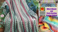 15+ Crochet Afghan Patterns Done In Strips