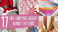 17+ Crochet Blanket Patterns For Free