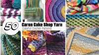 12+ Crochet Blanket Patterns Using Caron Cakes