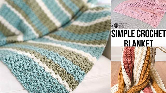 68+ Free Crochet Blanket Patterns For Beginners Pdf