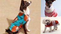 93+ Free Dog Coat Knitting Patterns Australia