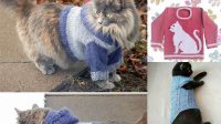 12+ Free Knitting Pattern Cat Sweater