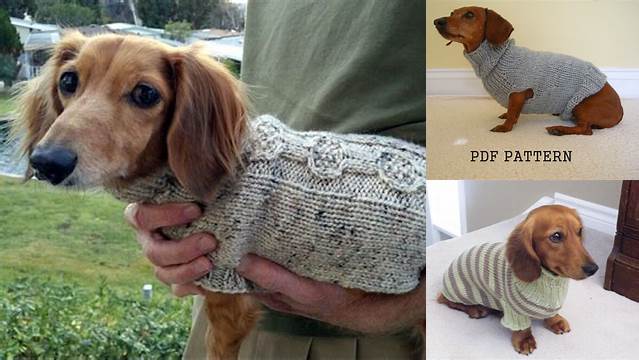 76+ Free Knitting Pattern Dachshund Sweater