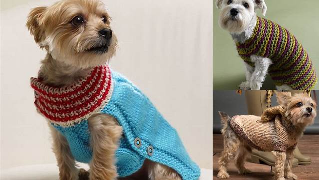 57+ Free Knitting Pattern Dog Sweater Easy