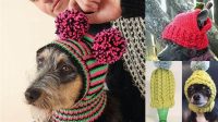 6+ Free Knitting Pattern For Dog Hat Straight Needles