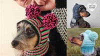 41+ Free Knitting Pattern For Dog Hat With Ear Holes