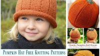 85+ Free Knitting Pattern For Pumpkin Hat