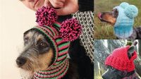 22+ Free Knitting Pattern For Small Dog Hat