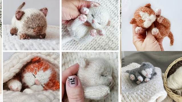 3+ Free Knitting Pattern Sleeping Kitten