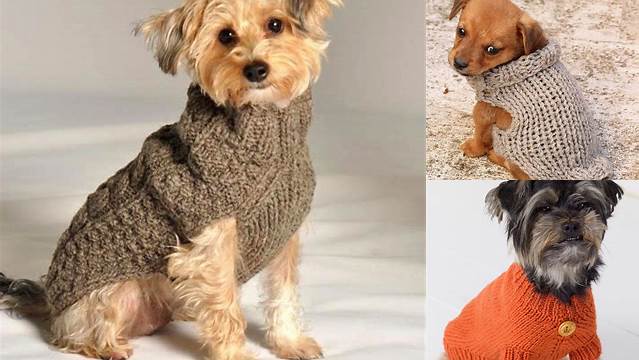 40+ Free Knitting Pattern Small Dog Sweater