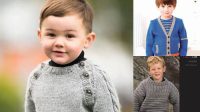 30+ Free Knitting Patterns Boys Sweaters