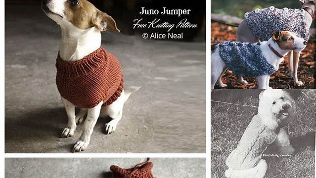 96+ Free Knitting Patterns Dog Coats