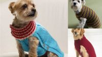 79+ Free Knitting Patterns Dog Sweater