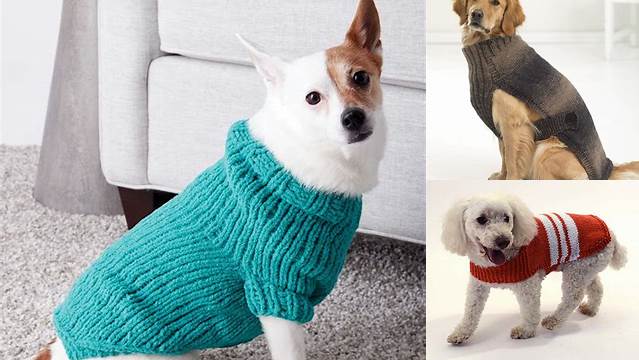 8+ Free Knitting Patterns Dog Sweaters