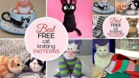 78+ Free Knitting Patterns For Cat Blankets Straight Needles