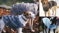 29+ Free Knitting Patterns For Dog Coats