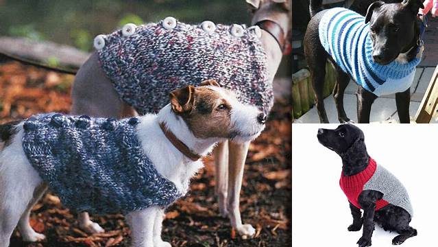 71+ Free Knitting Patterns For Dog Coats Australia