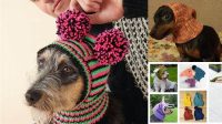 19+ Free Knitting Patterns For Dog Hats