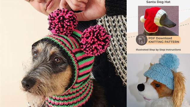 85+ Free Knitting Patterns For Dog Hats To Download