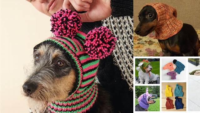 19+ Free Knitting Patterns For Dog Hats