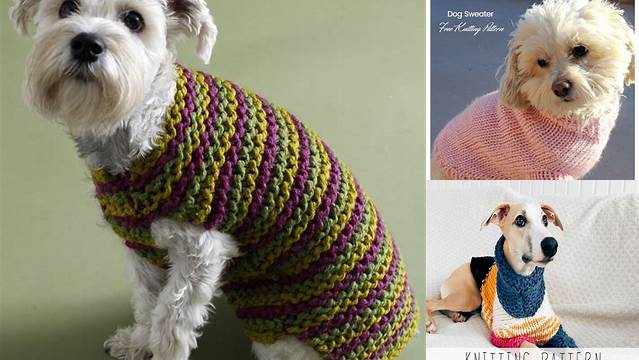 87+ Free Knitting Patterns For Dog Jumpers