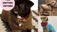 19+ Free Knitting Patterns For Dog Sweaters