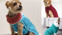 47+ Free Knitting Patterns For Dog Sweaters To Download