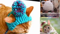 89+ Free Knitting Patterns For Hats For Cats