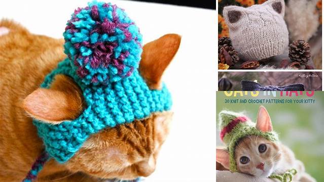 89+ Free Knitting Patterns For Hats For Cats