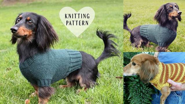 56+ Free Knitting Patterns For Miniature Dachshund Sweaters