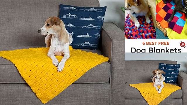 4+ Free Knitting Patterns For Pet Blankets