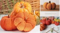 82+ Free Knitting Patterns For Pumpkin