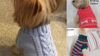 34+ Free Knitting Patterns For Small Dog Sweaters Pdf