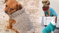 71+ Free Knitting Patterns For Small Dog Sweaters Uk