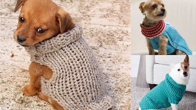 71+ Free Knitting Patterns For Small Dog Sweaters Uk