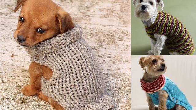 99+ Free Knitting Patterns For Small Dog Sweaters