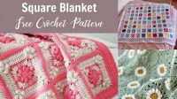 42+ Granny Square Blanket Pattern Beginner