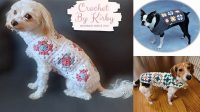 42+ Granny Square Dog Jacket Pattern