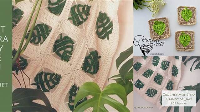 41+ Monstera Granny Square Pattern Free