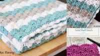 12+ Shell Stitch Crochet Blanket Pattern Free For Beginners