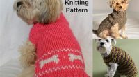 1021+ Free Knitting Patterns For Small Dog Sweaters Pdf