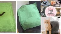 1147+ Free Knitting Patterns For Cat Blankets To Download