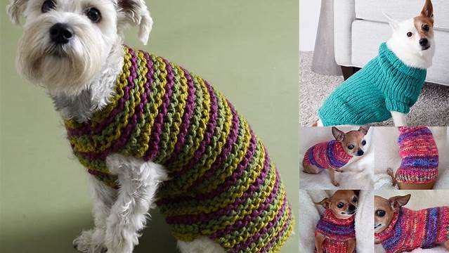 2155+ Free Knitting Patterns For Small Dog Sweaters