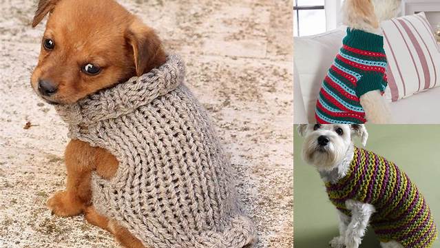 2252+ Free Knitting Pattern Small Dog Sweater