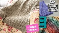 2740+ Crochet Blanket Tutorial For Beginners