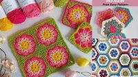 3993+ Hexagon Granny Square Flower Pattern Free