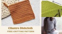 4409+ Free Knitting Patterns For Beginners