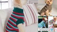 4604+ Free Knitting Patterns For Small Dog Sweaters Pdf