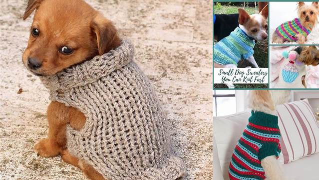 489+ Free Knitting Patterns For Small Dog Sweaters To Download