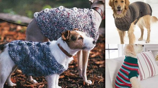 5404+ Free Knitting Patterns For Dog Coats